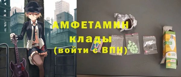 гашик Аркадак