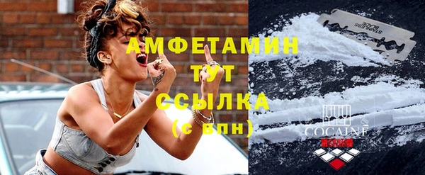 гашик Аркадак