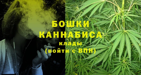 гашик Аркадак